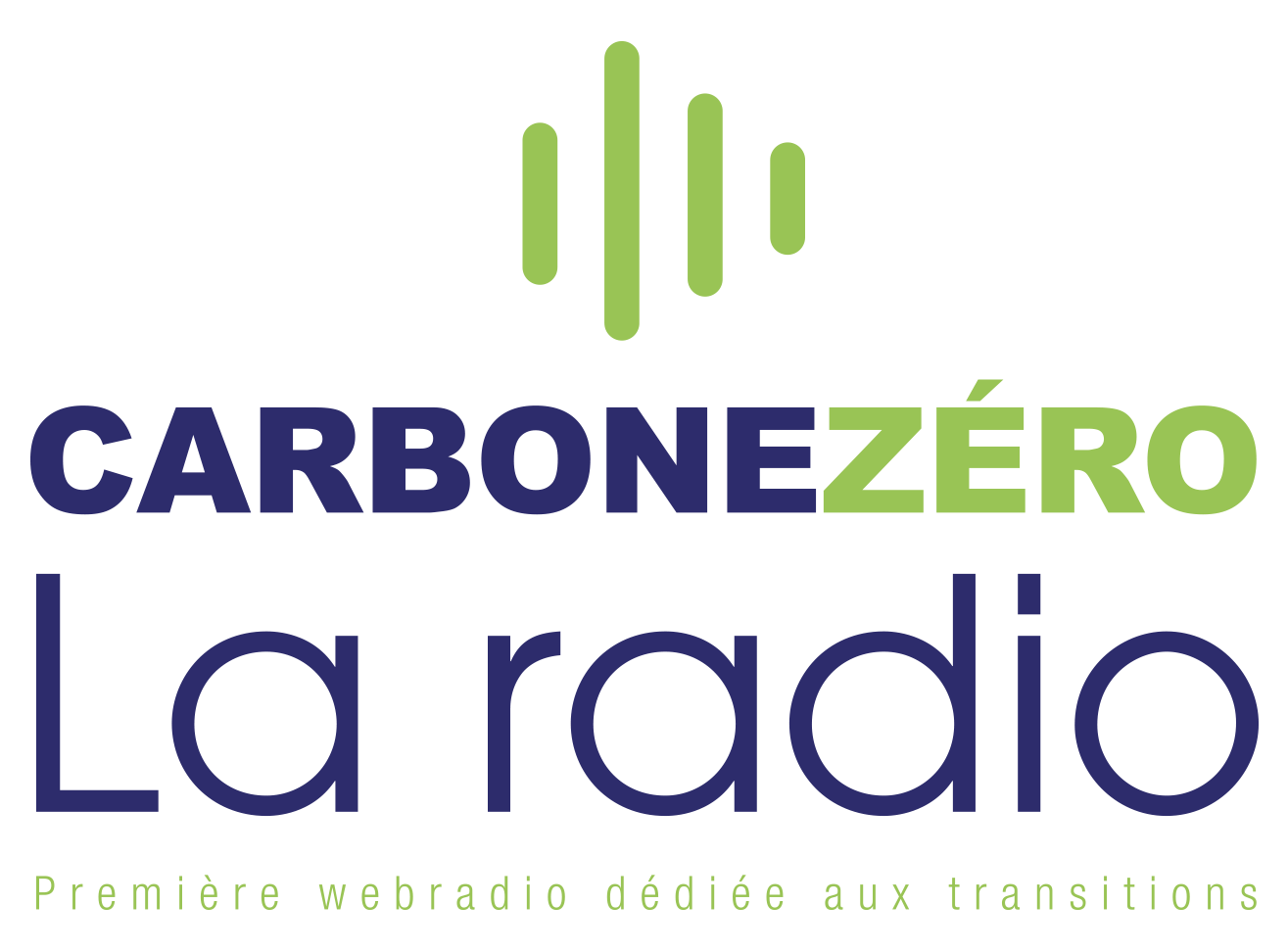 Carbone zero la radio